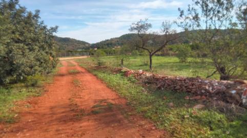 Photo 3 of House or chalet for sale in Corral Nou - Montros - Estepar, Valencia