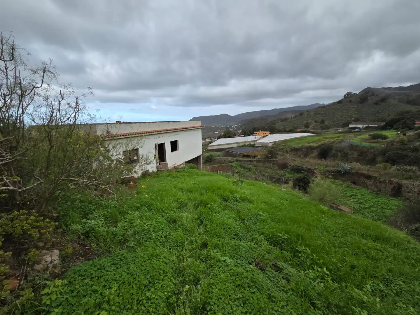 Finca rústica en venta en Tegueste