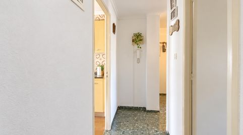 Foto 5 de Pis en venda a Avinguda Jaume I, 48, Palmera, Valencia