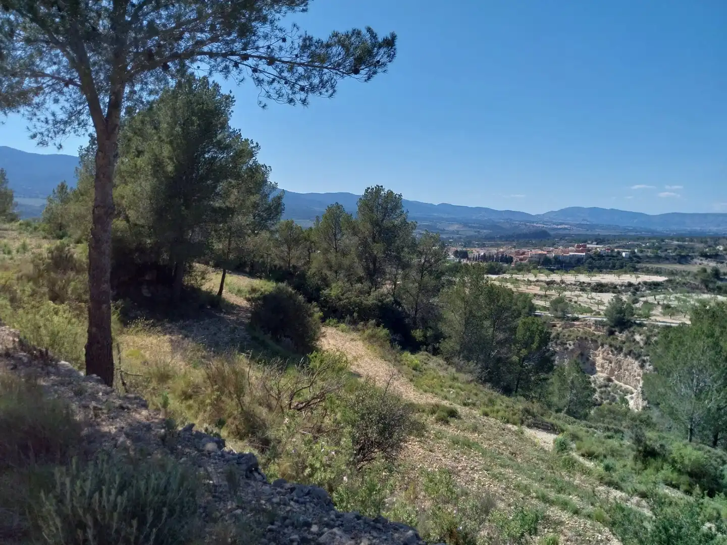 Terreno rustico in vendita a Lugar Castillo, imagen 16
