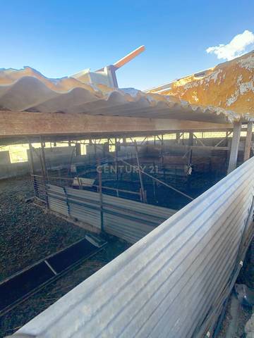 Terreno en Venta en Lugar el Quinto, 161, 29120 Alhaurín el Grande, Má, -1 en Centro