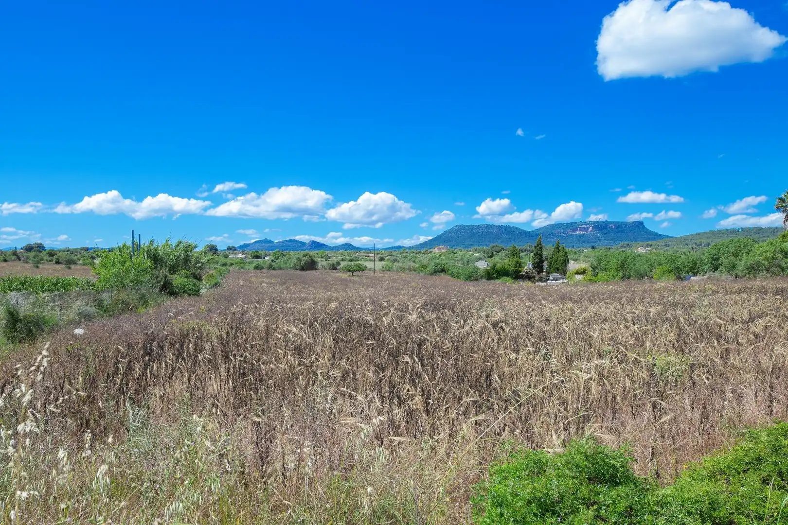 Terreno rustico in vendita a Poligono, imagen 4