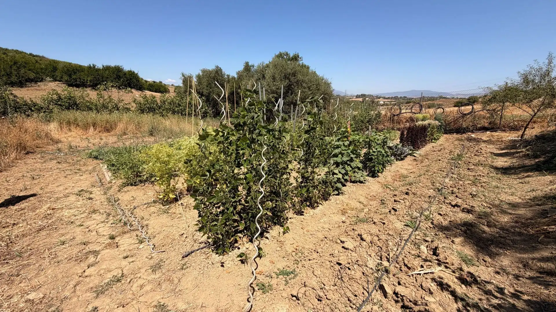 Finca rústica en venta en Centro
