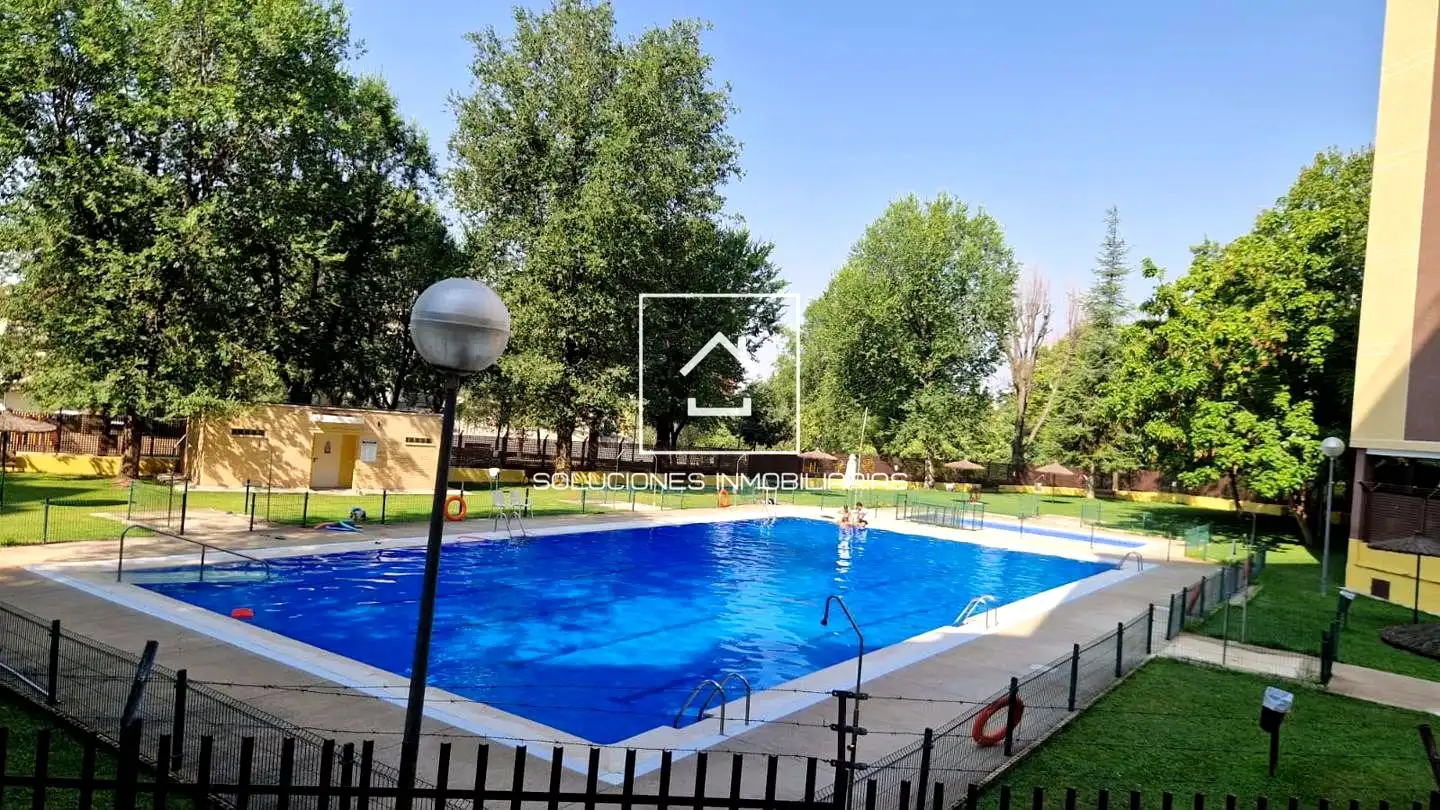 Pis amb piscina en venda a Norte - Universidad