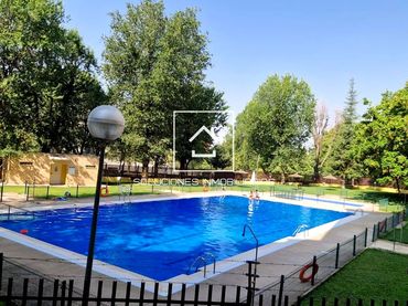 Pis amb piscina en venda a Norte - Universidad