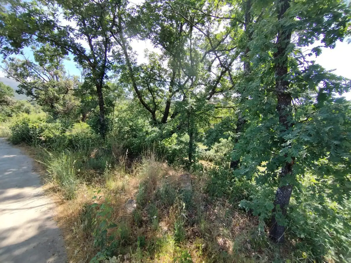 Terreni e lotti in vendita a Jarandilla de la Vera, imagen 4