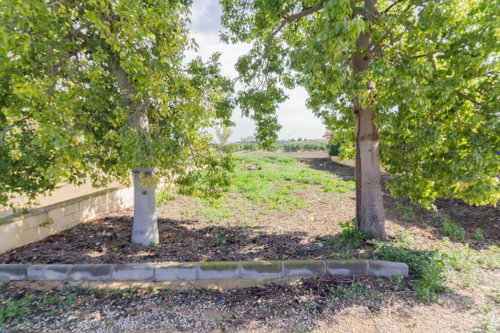 Casa o xalet en venda en Orihuela amb Jardí privat i Terrassa