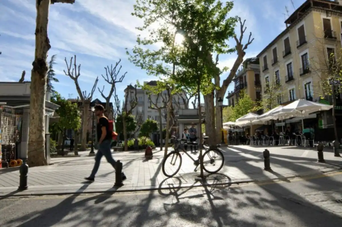 Studio à louer à Centro, imagen 29