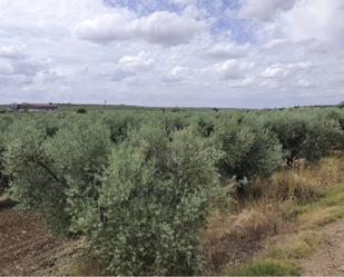 Residencial en venda en Entrín Bajo