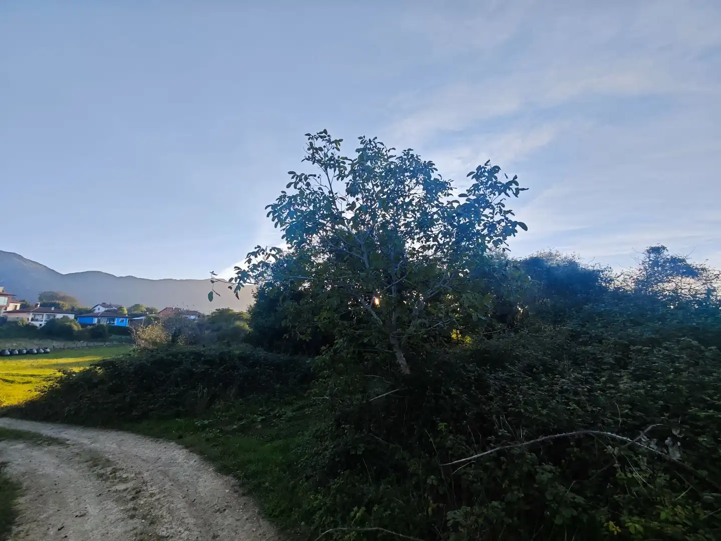 Terreno rústico en venta en Pría - Nueva-Hontoria - Naves, imagen 9