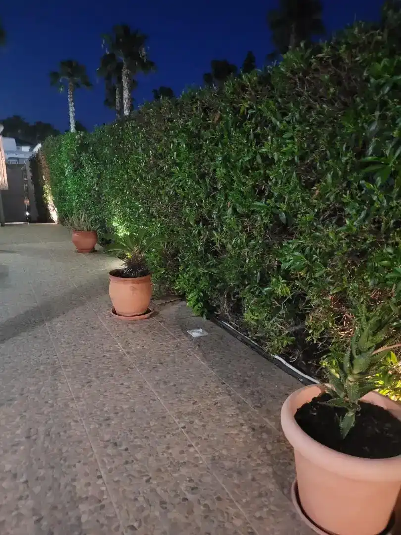 Terrassa de Casa o xalet de lloguer en Ciudad Jardín - Tagarete - El Zapillo