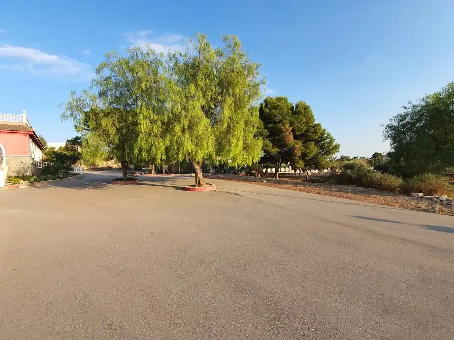 Vista exterior de Casa o chalet en venta en Elche / Elx con Terraza, Balcón y Alarma