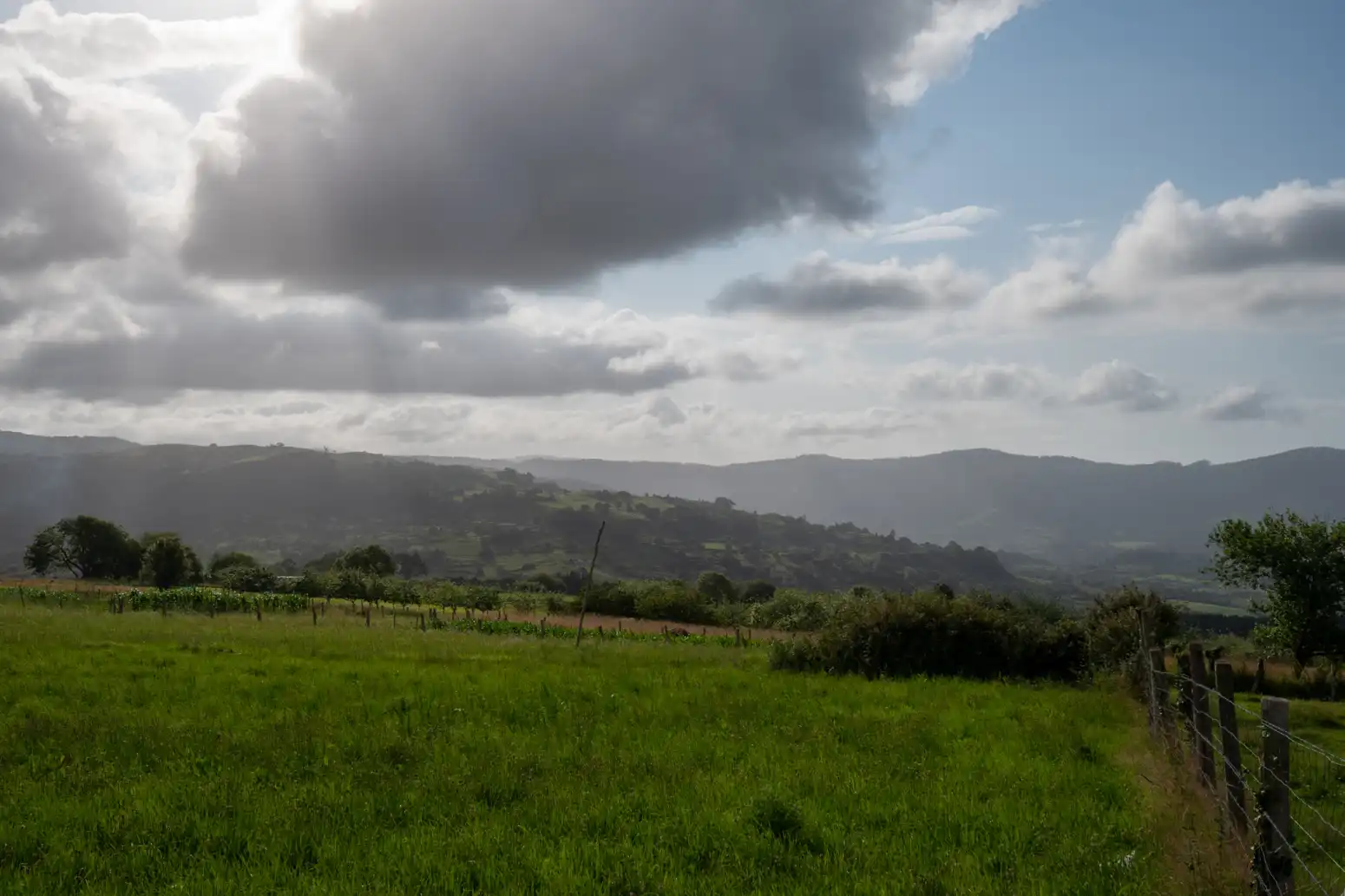Residential land for sale in Poreño, imagen 14
