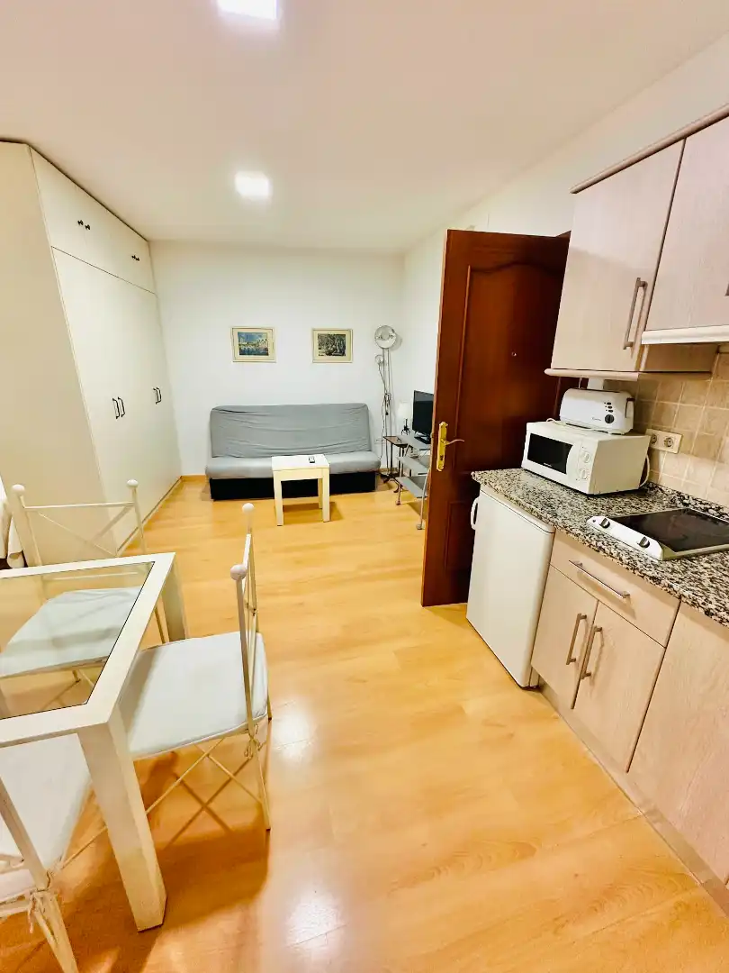 Living room of Study for rent in Granada  with Air Conditioner, Heating and Parquet flooring