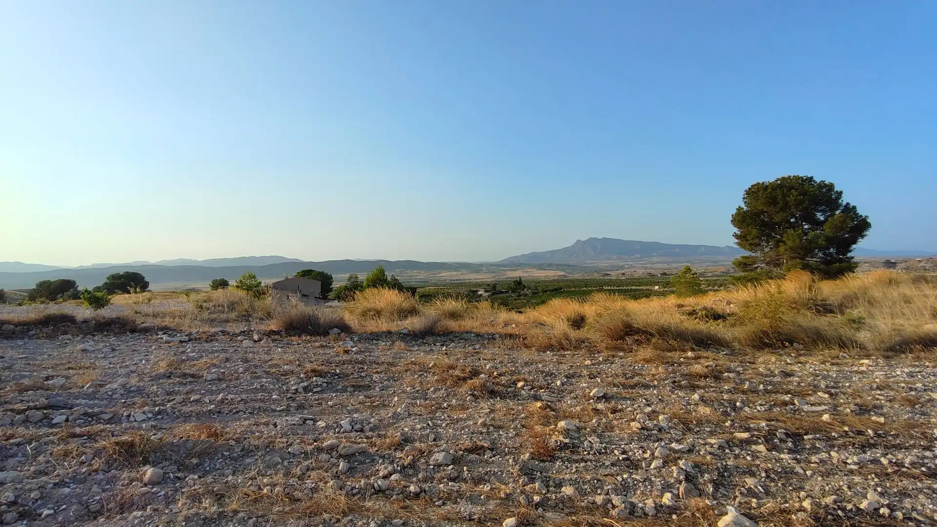 Terreno rustico in vendita a Jumilla, imagen 33