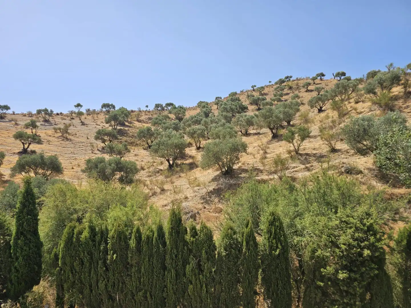 Finca rústica en venta en Antequera con Aire acondicionado, Calefacción y Amueblado
