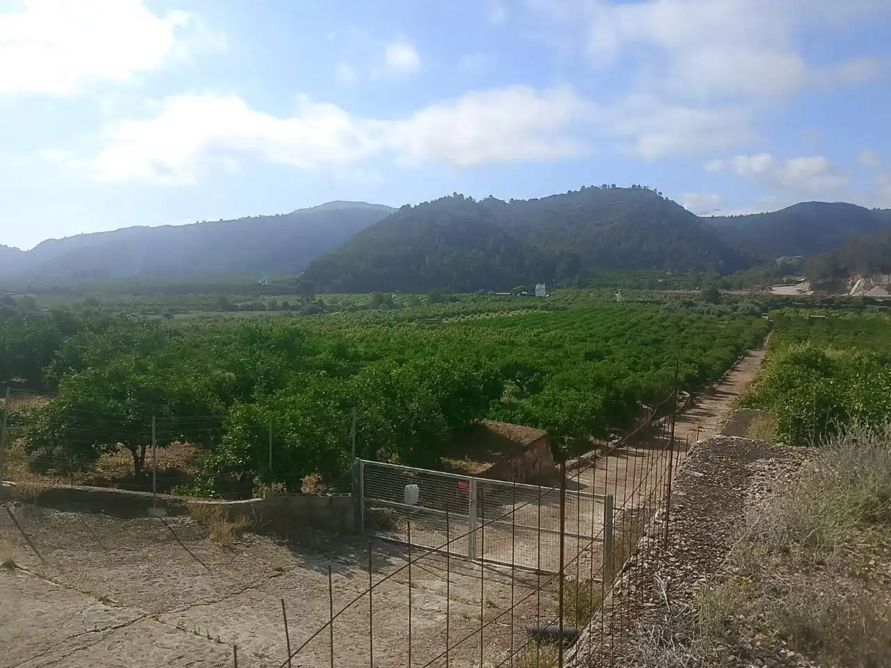 Land for sale in L'Atzúbia