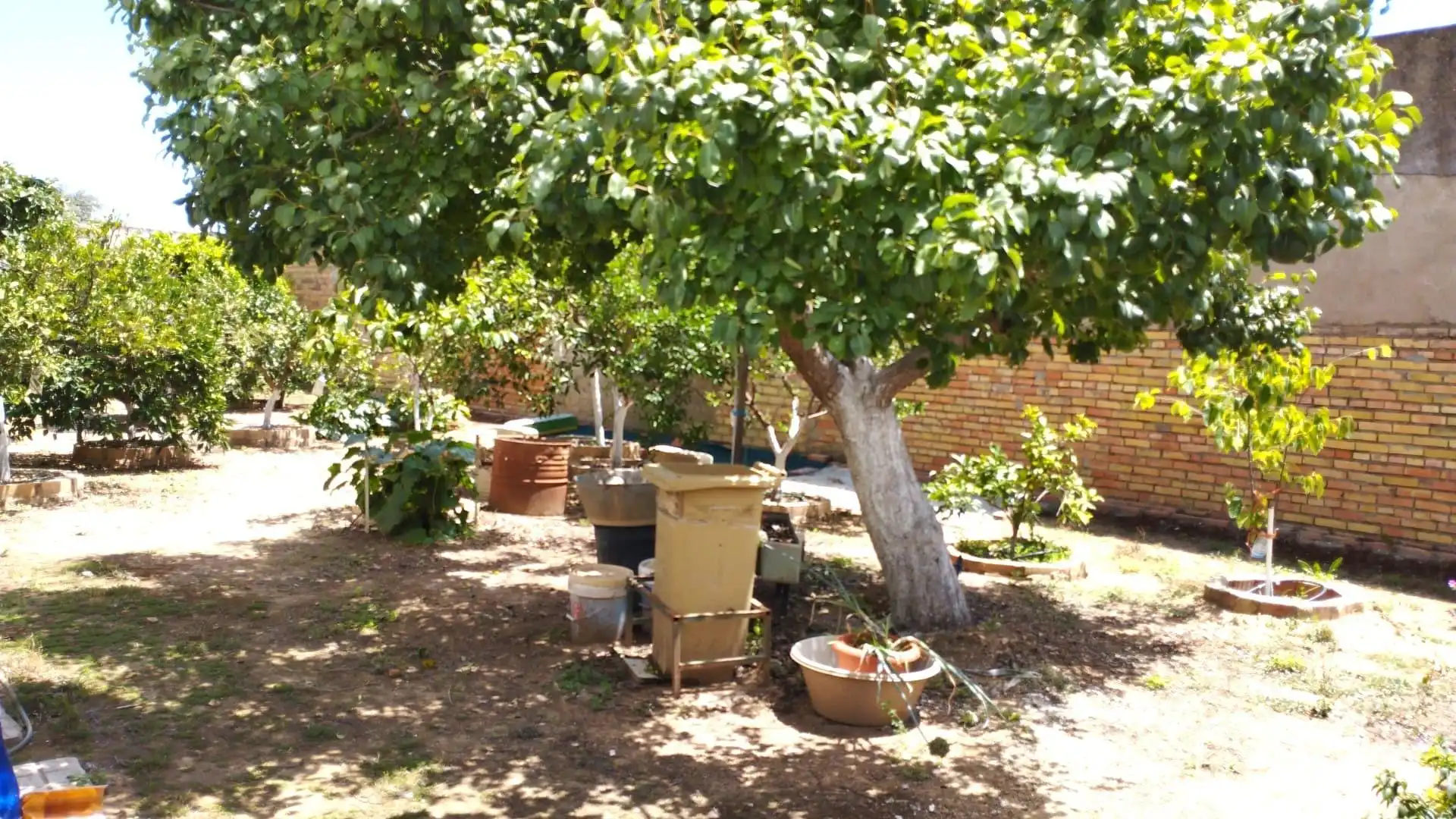 Terreni e lotti in vendita a Gerena, imagen 3