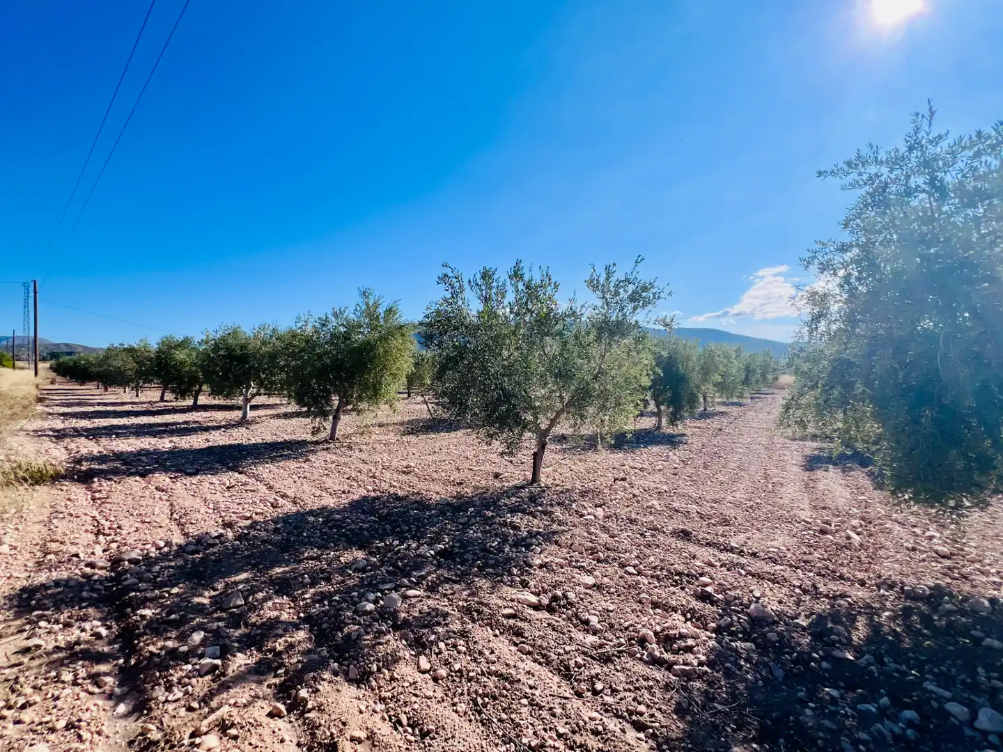Country homes for sale in Castalla, Alicante