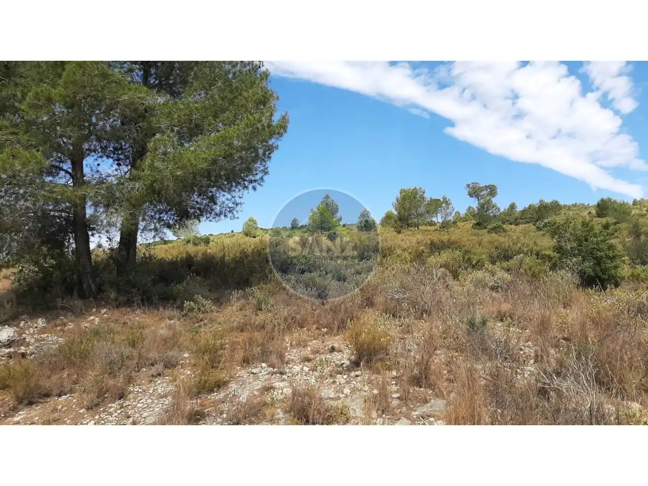 Terrain rustique à vendre à Calle Partida la Baronia, imagen 19