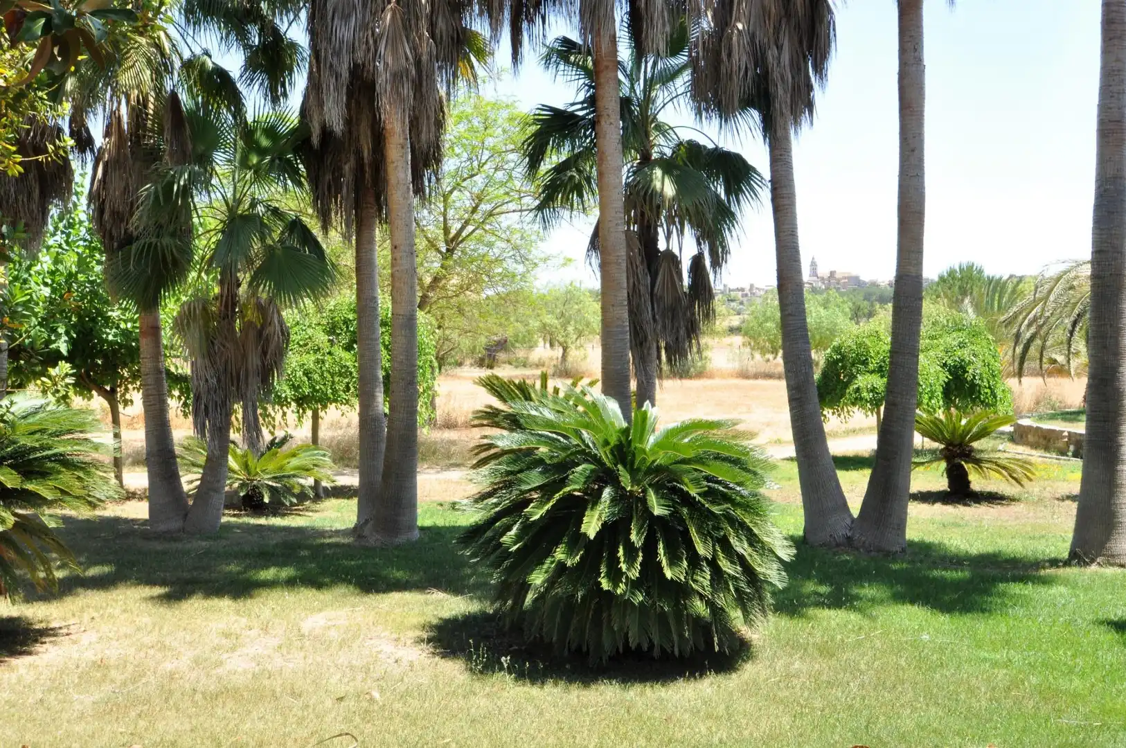 Maison rustique avec piscine à vendre à Sencelles, imagen 49