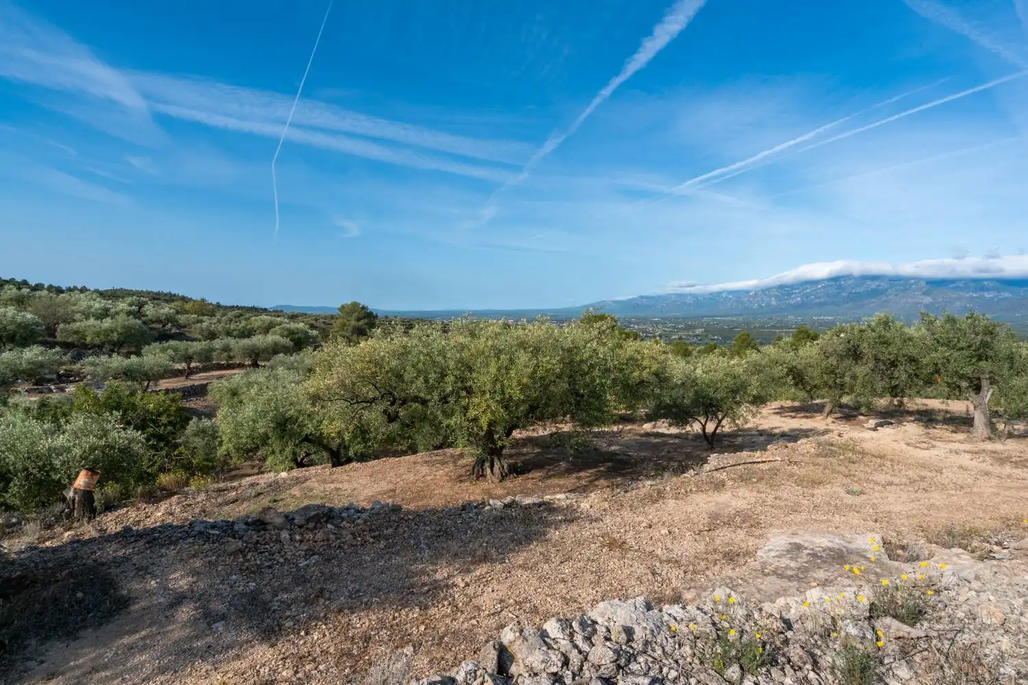 Rustikales Grundstück zum Verkauf in Carrer d'Arnau de Jardí 60, imagen 5