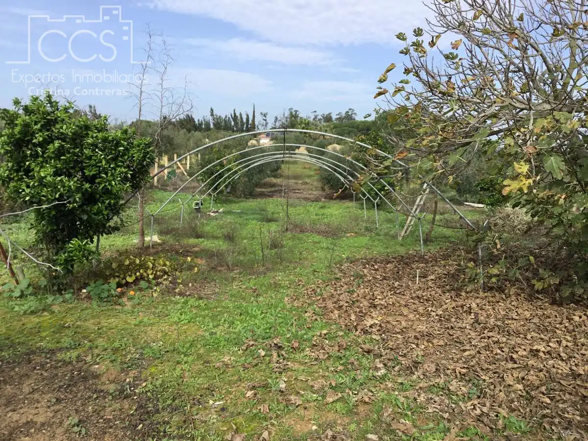 Country house with pool for sale in Almonte ciudad, imagen 5