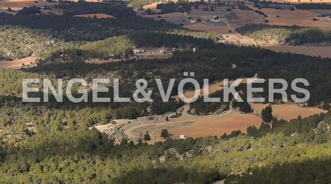 Gran finca de recreo y caza en Ayora