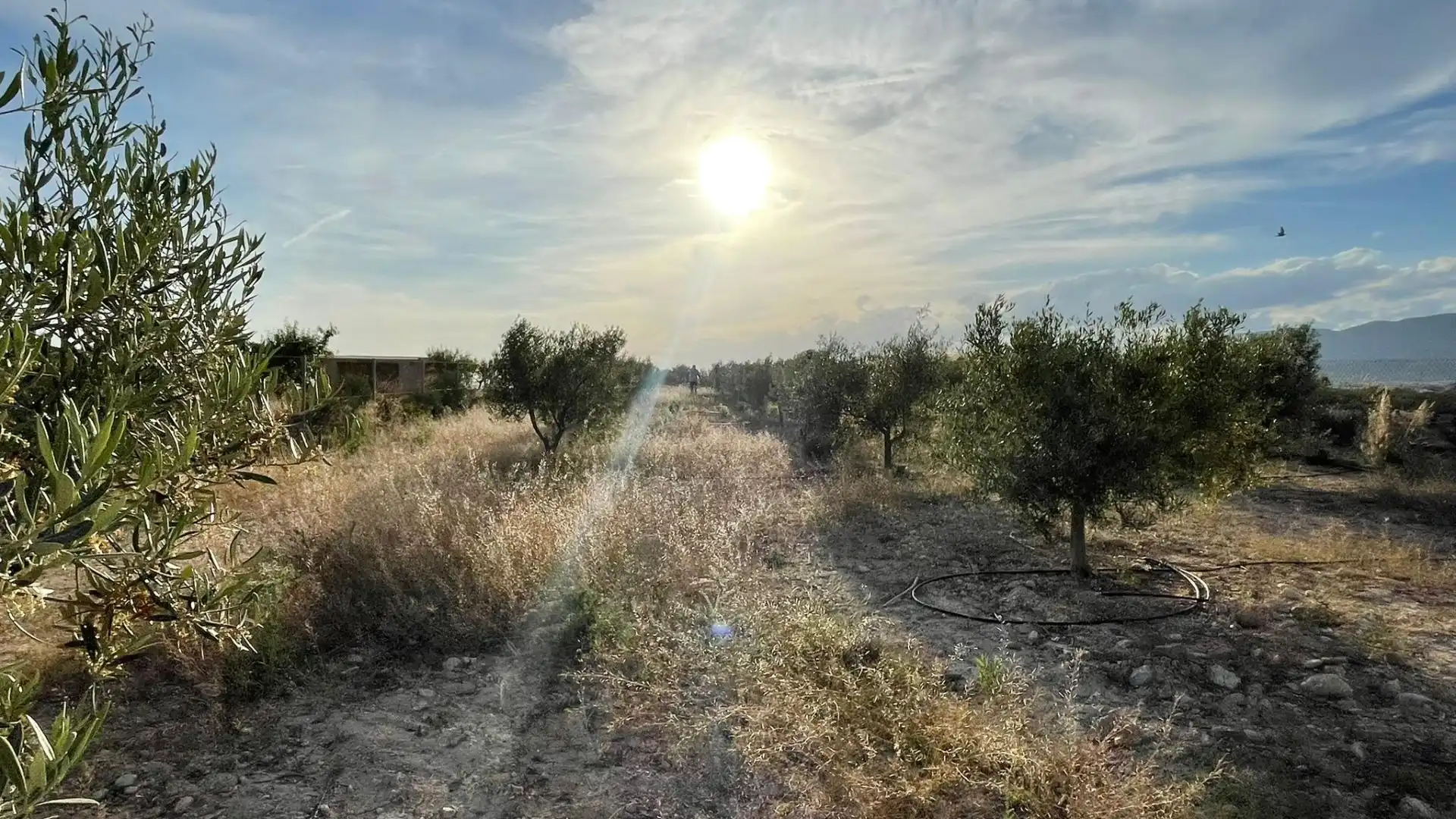 Casa rústica con jardín en venta en Los Almagros - Los Paganes - El Escobar, imagen 37