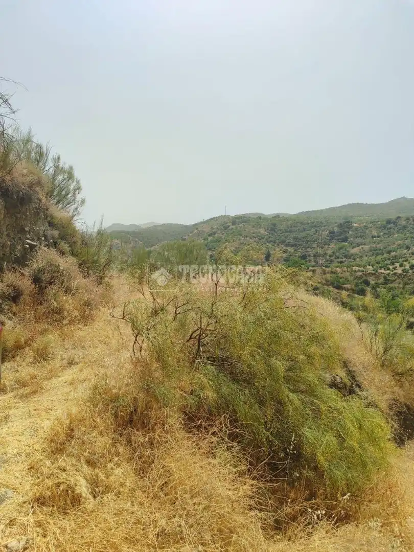 Rustikales Grundstück zum Verkauf in Pinos Genil, imagen 11
