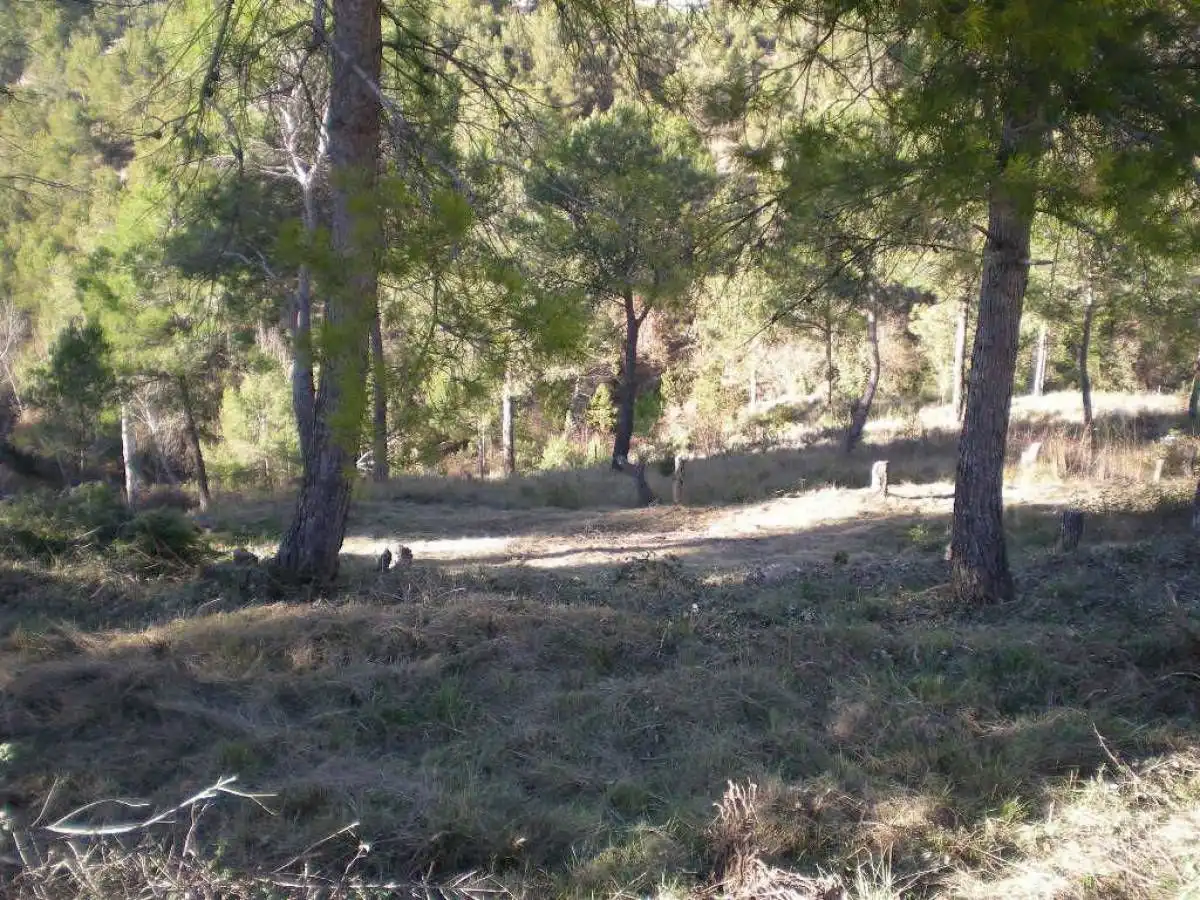 Terrenys i solars en venda a Castellnou de Bages, imagen 6