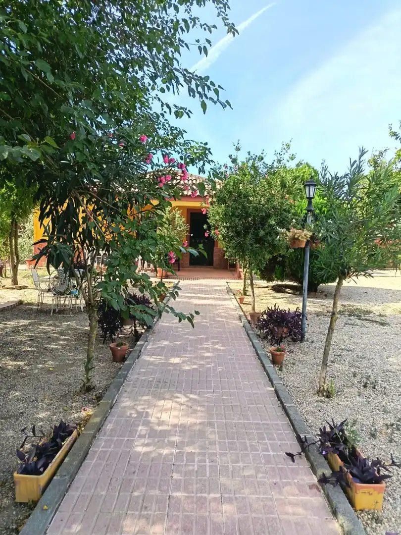 Casa amb piscina en venda a Centro ciudad, imagen 19