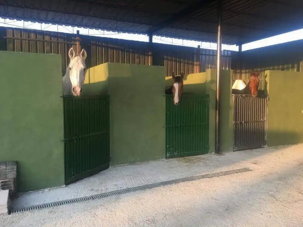 Vista exterior de Piso en venta en Fortuna