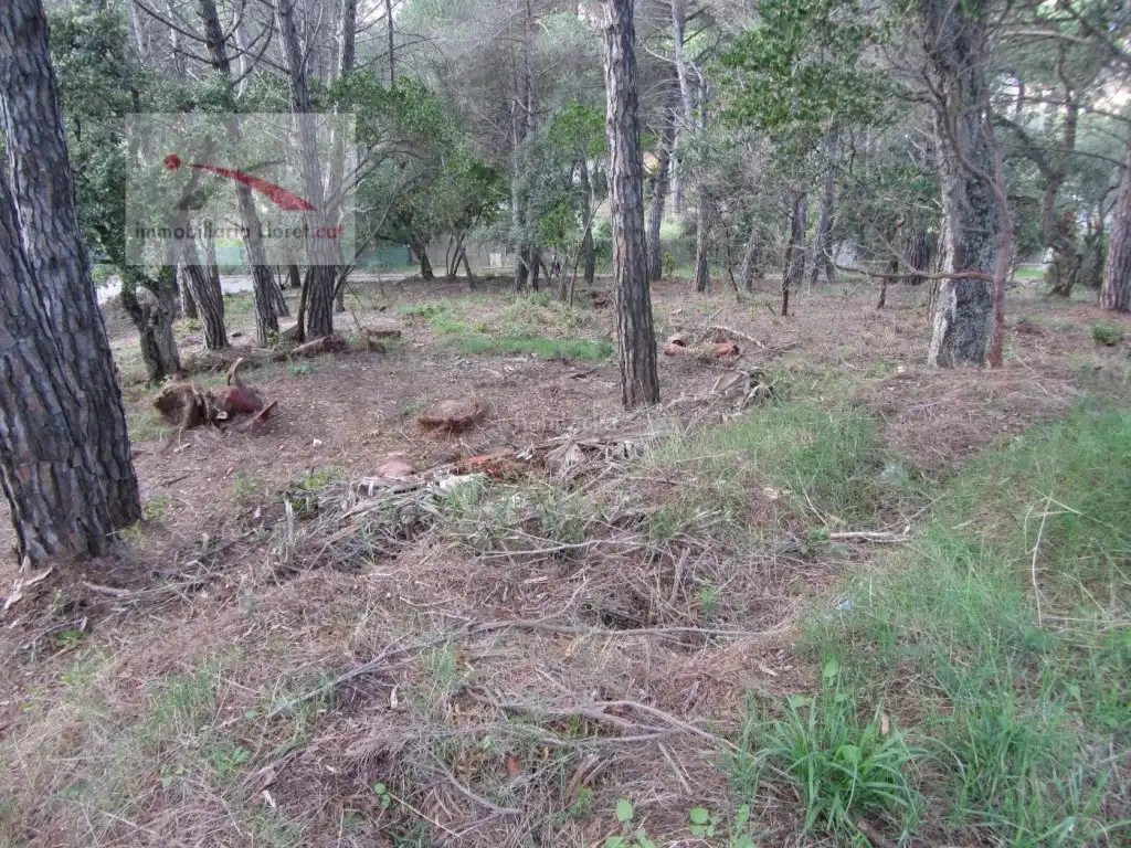 Residential land for sale in Llagostera, imagen 7