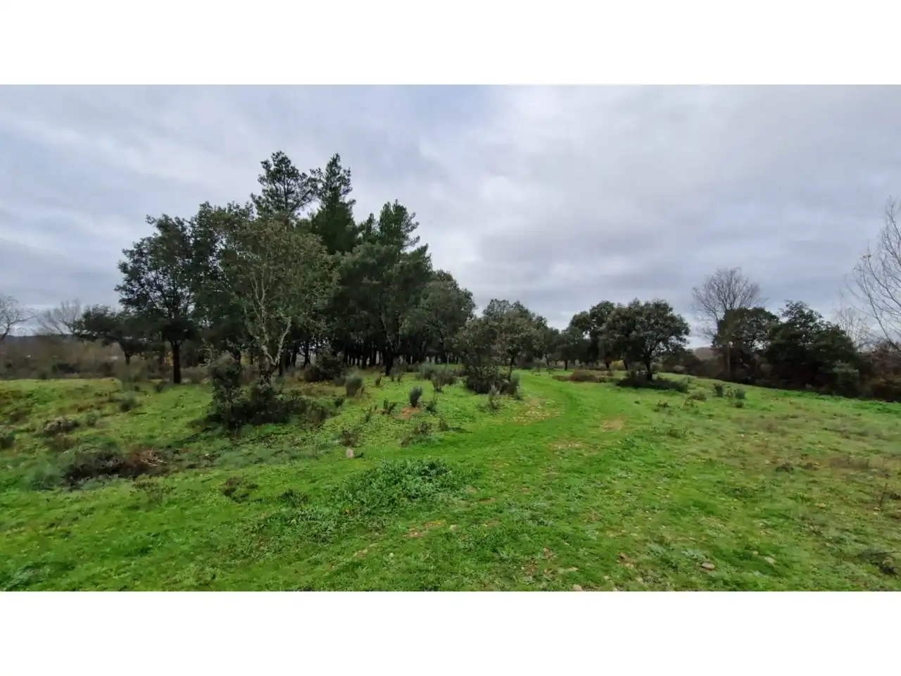 Terreno residenziale in vendita a Poligono 24 46, imagen 2