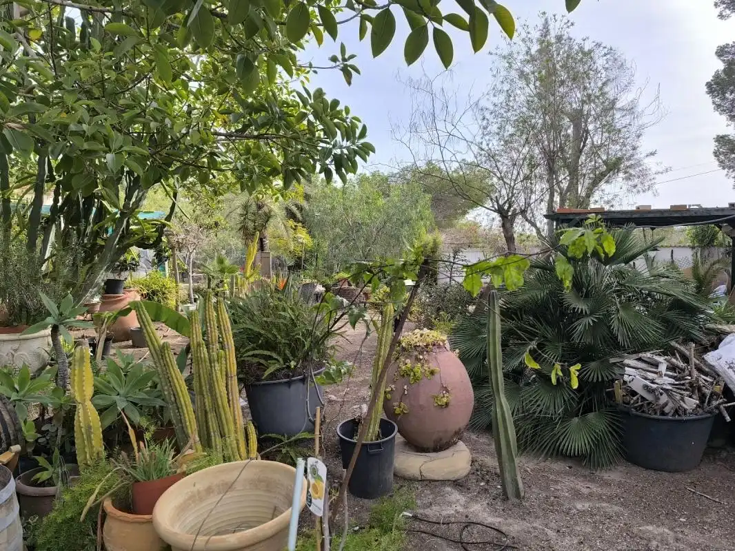 Garden of Houses for sale in Orihuela  with Air Conditioner, Heating and Private garden