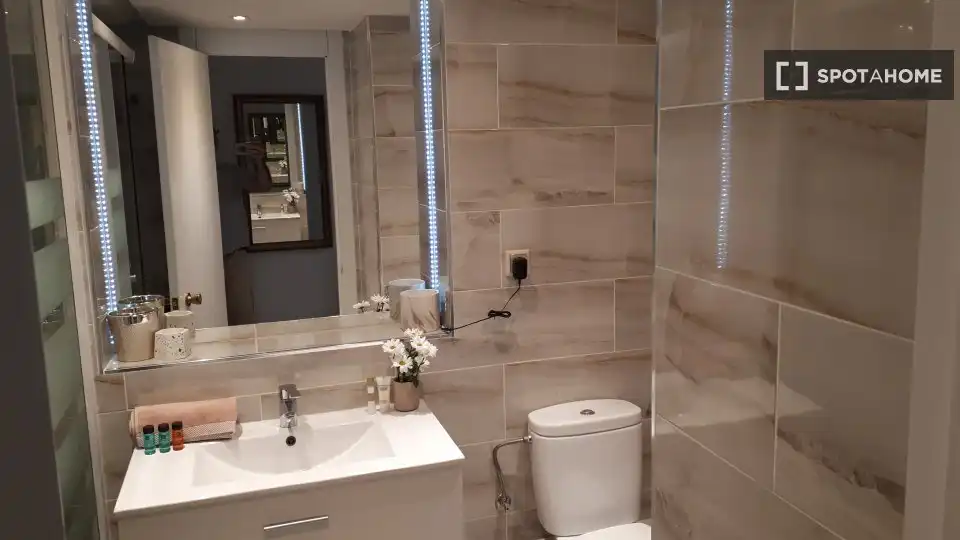 Bathroom of Apartments for share in Madrid  with Air Conditioner, Terrace and Furnished