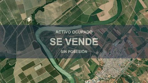 Foto 3 von Wohnung zum Verkauf in Brenes, Sevilla
