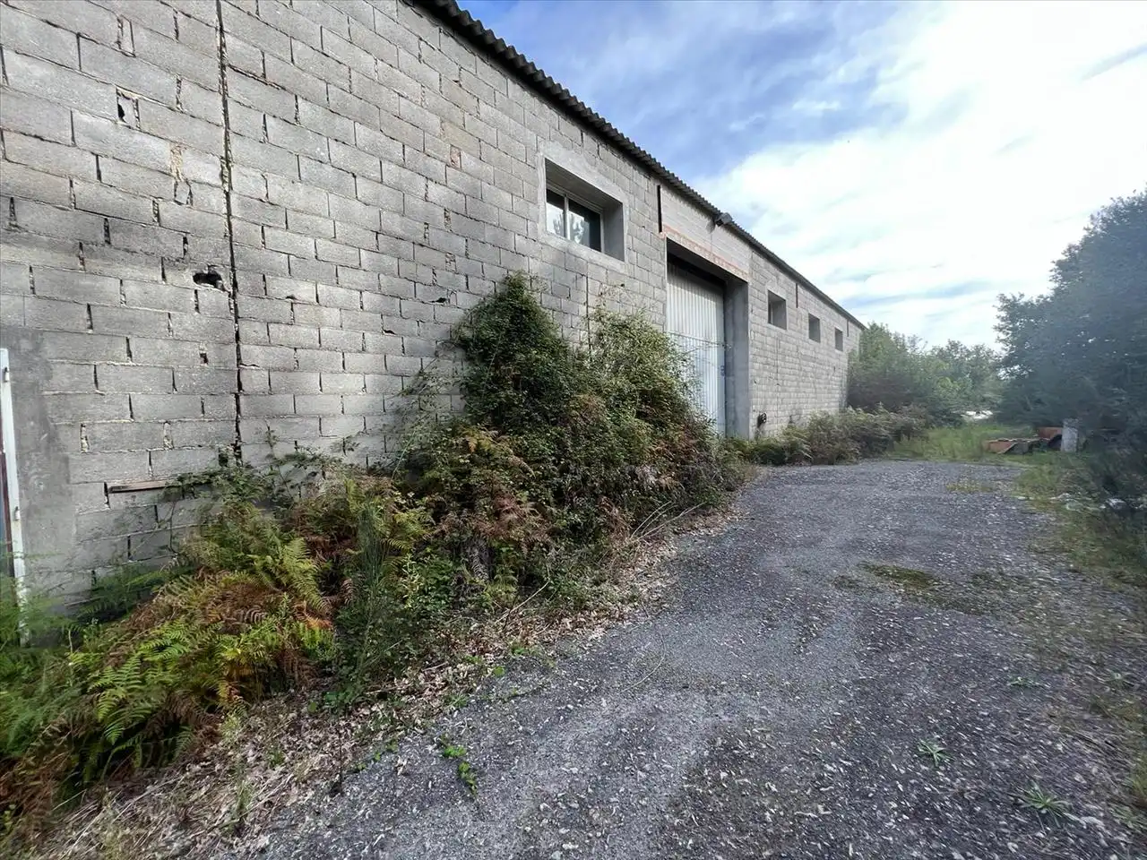 Industriegebäude zum Verkauf in Coles, imagen 6