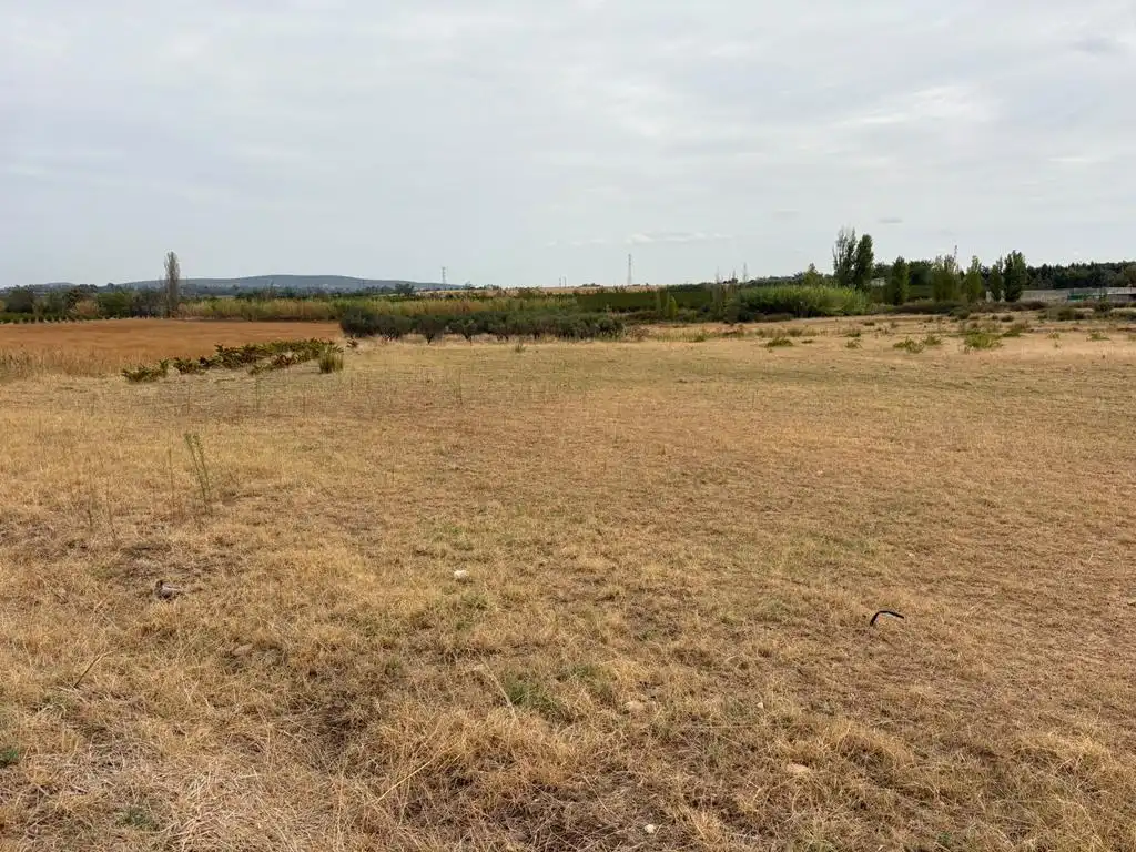 Terreno rústico en venta en Valdetorres, imagen 2
