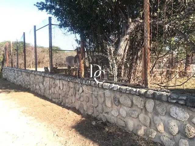 Terrenys i solars en venda a Masia Nova -  Solicrup, imagen 10