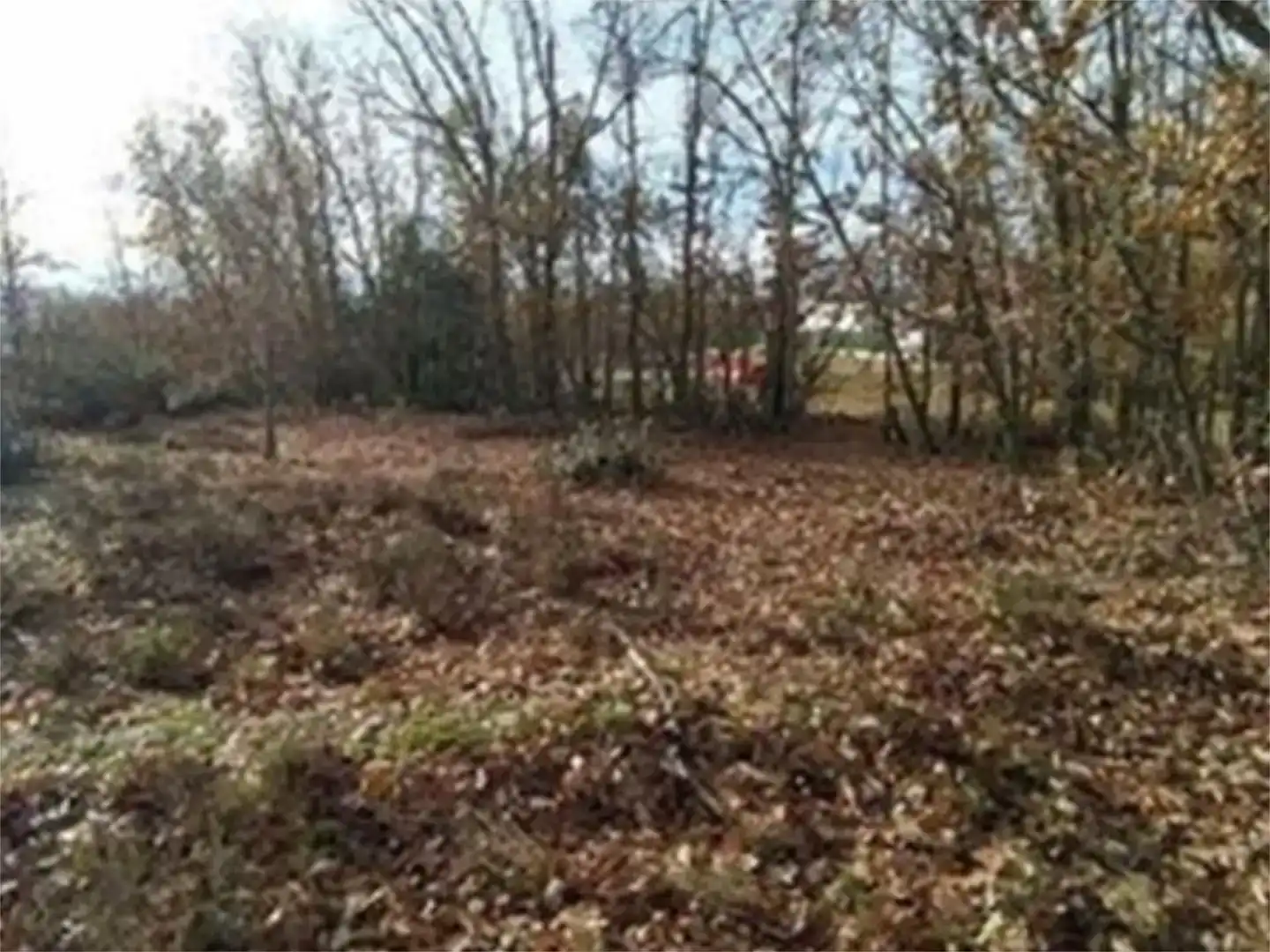 Finca rústica en venda en Valverde de la Virgen