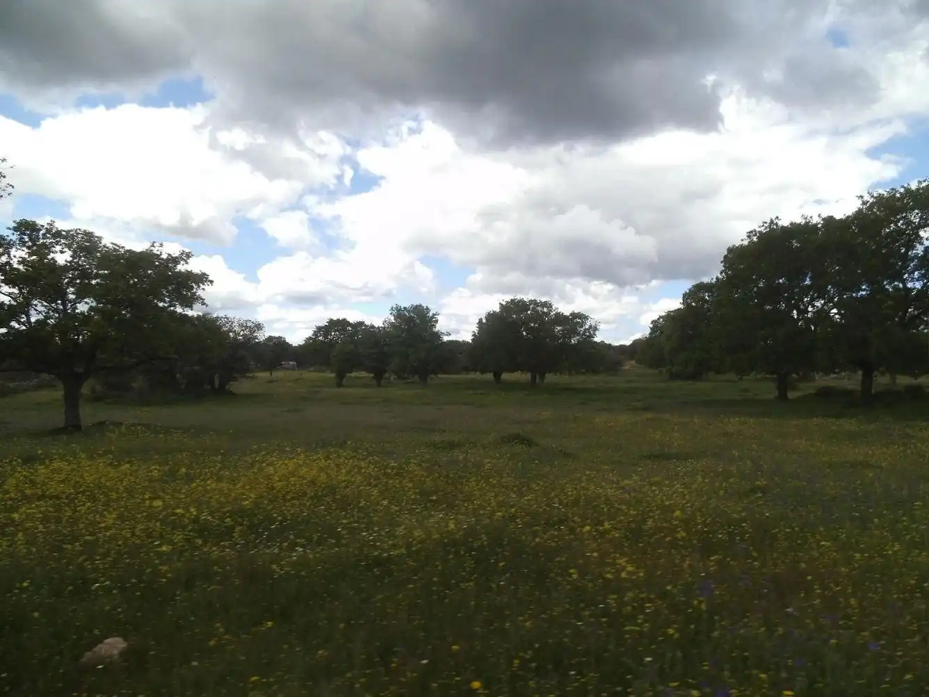 Residencial en venda en Valdemorillo
