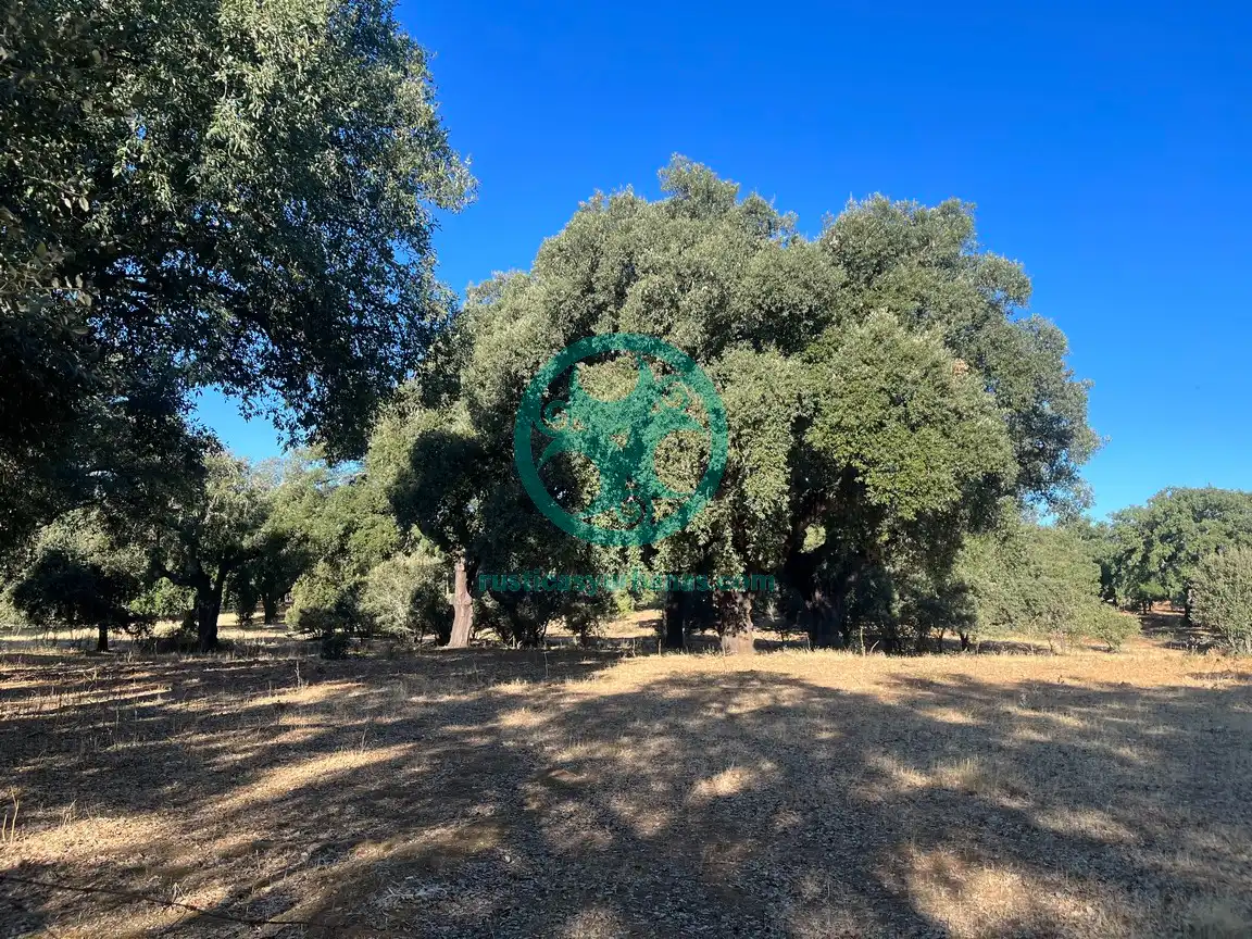 Terreni e lotti in vendita a Valdesalor - Rincón de Ballesteros, imagen 3