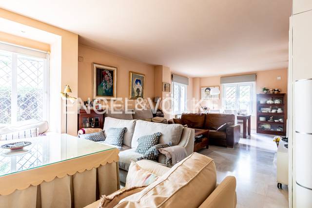 Piso en Alquiler en El Porvenir