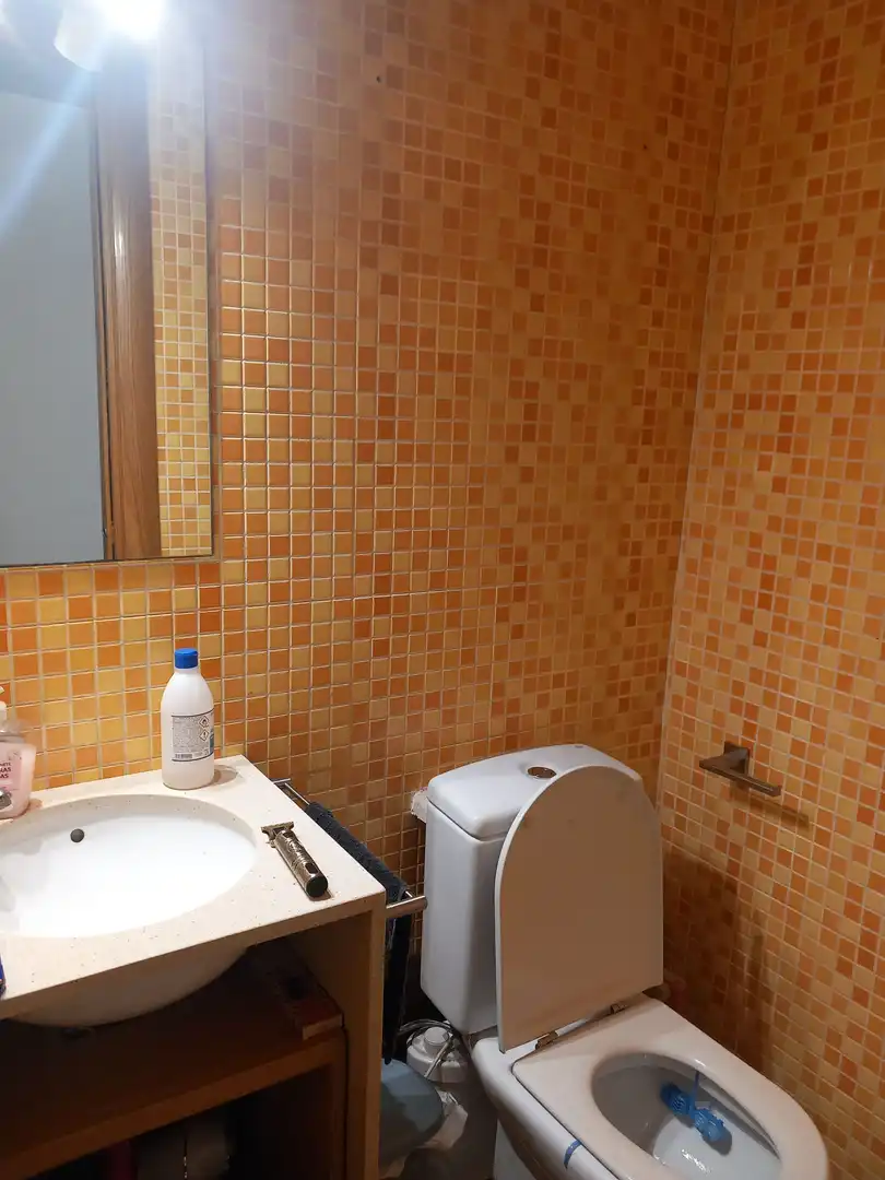 Penthouse with lift for sale in aragon, imagen 16