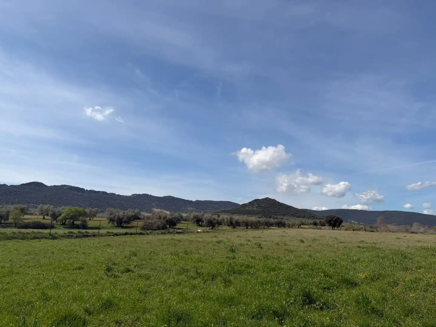 Grundstücke und Bauplätze zum Verkauf in Malagón, imagen 2
