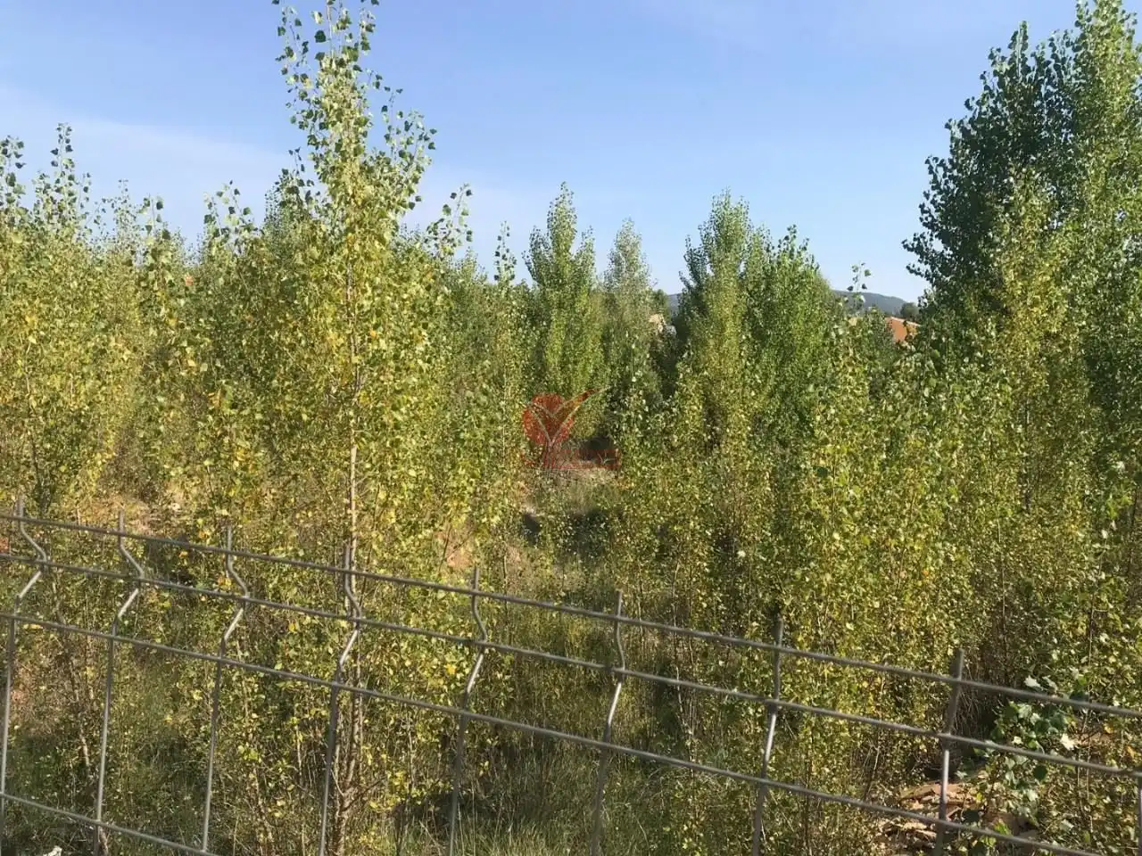Terreno en venta en Villalba de la Sierra