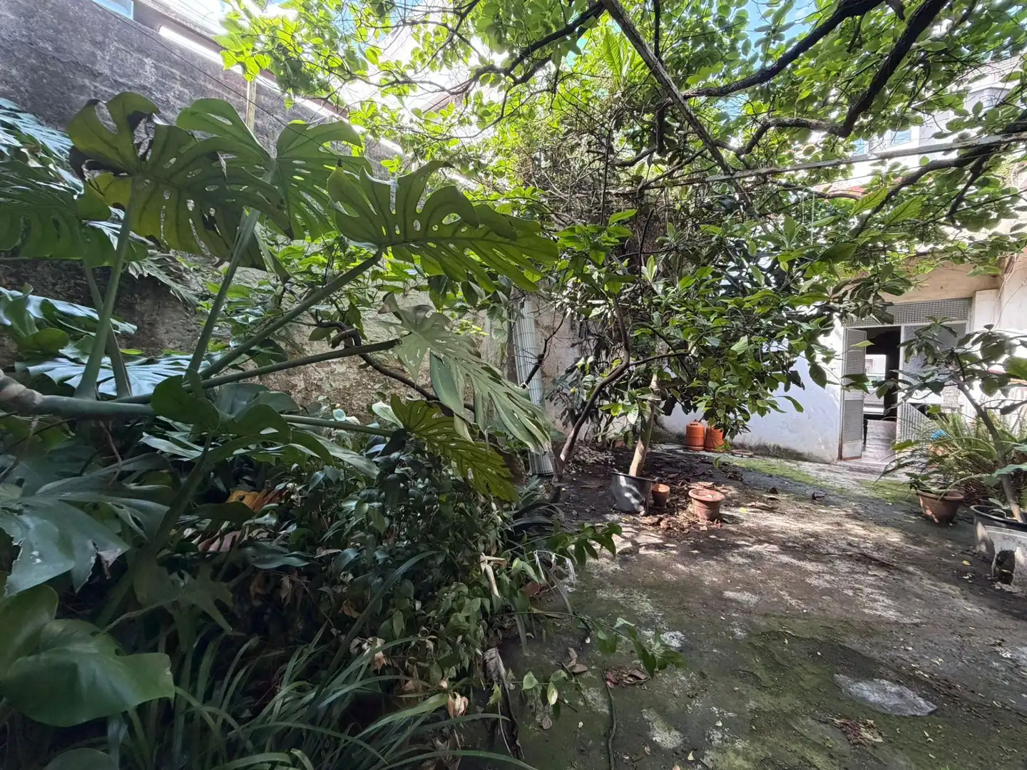 Jardín de Casa o chalet en venta en Gandia con Jardín privado