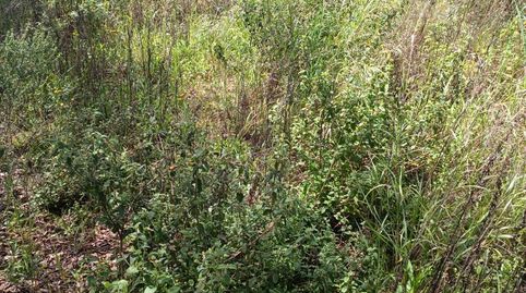 Photo 5 of Residential for sale in Gualba, Barcelona